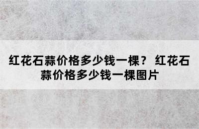 红花石蒜价格多少钱一棵？ 红花石蒜价格多少钱一棵图片